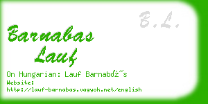 barnabas lauf business card